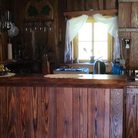 Vacation House Spiritus Flumine Netretic Exteriér fotografie